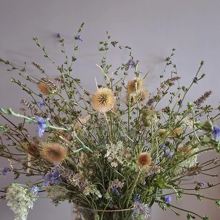 Le Pigeonnier De Pauly Oda ve Kahvaltı Mirabel (Tarn-et-Garonne)