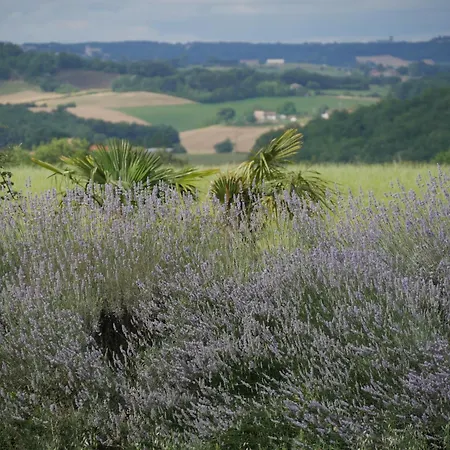 Le Pigeonnier De Pauly *