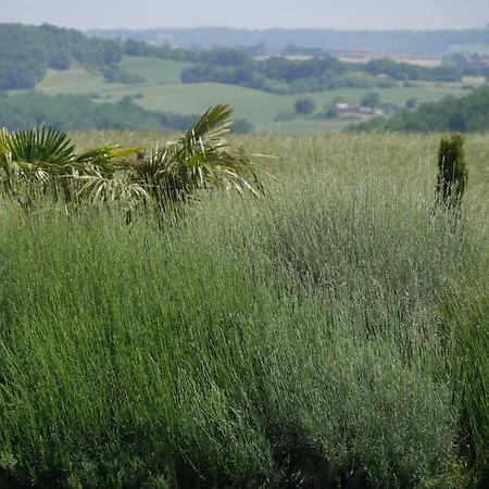 Le Pigeonnier De Pauly