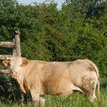 Le Pigeonnier De Pauly Oda ve Kahvaltı Mirabel (Tarn-et-Garonne)