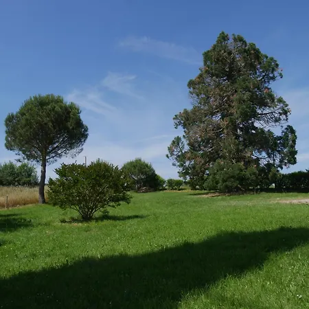 Le Pigeonnier De Pauly * Mirabel (Tarn-et-Garonne)