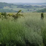 Le Pigeonnier De Pauly