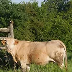 Le Pigeonnier De Pauly Oda ve Kahvaltı Mirabel (Tarn-et-Garonne)