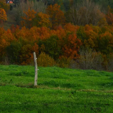 Le Pigeonnier De Pauly Отель типа 