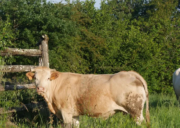 Le Pigeonnier De Pauly 住宿加早餐酒店 Mirabel (Tarn-et-Garonne)